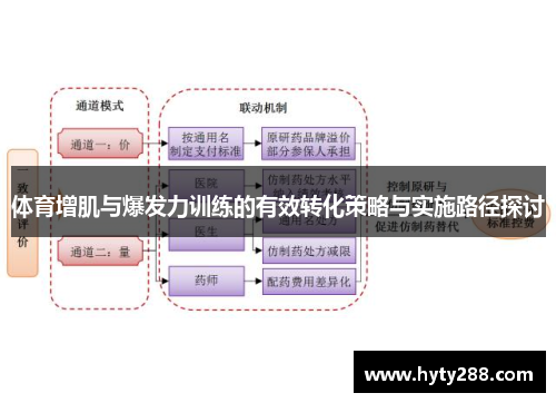 体育增肌与爆发力训练的有效转化策略与实施路径探讨